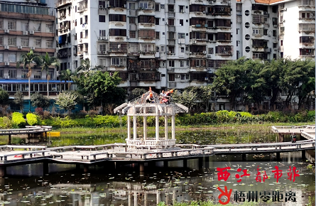 潘塘公園荷花池重建涼亭