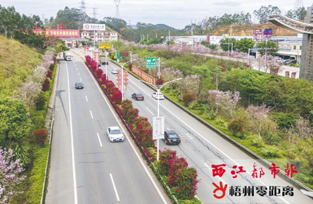 道路絢麗多彩