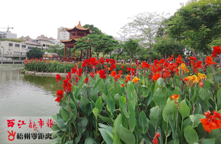 潘塘公園 美景如畫